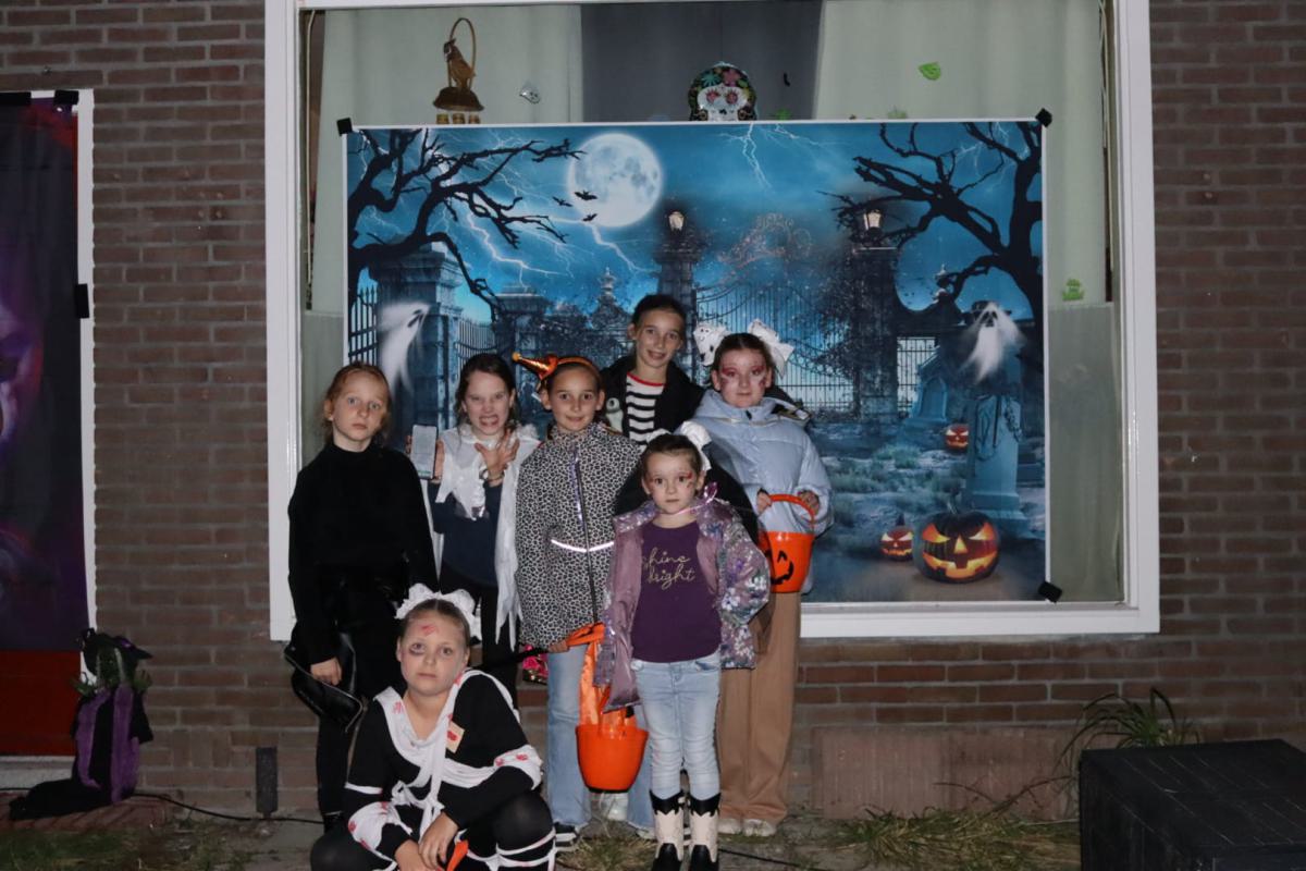 Afbeelding-van-WhatsApp-op-2024-10-25-om-20.25.48 39616772