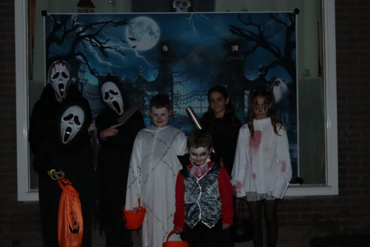 Afbeelding-van-WhatsApp-op-2024-10-25-om-20.46.54 7b9a1987